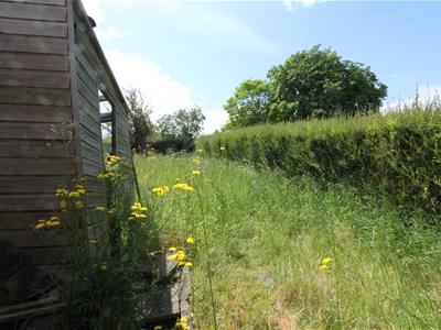 Picture 15